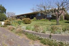  57 Lemana Rd Red Hills TAS 7304 $609,000 Country LIfestyle at it's Best 3 2 2 50 acre (approx) Perfectly situated home set on 50 acres approx  Less than 10 minute drive from Deloraine All cleared and sown to pasture Spacious 3 bedroom home Main bedroom has Walk In Robe and Ensuite Open Plan Kitchen and Dining Second Living area The property comes complete with: 3 Horse Stable Feed Shed Hay Shed plus Silo 40 Foot Diameter Sand Roll / Round Yard Tackroom Shearing Shed Ample Water Good Fencing Suitable for grazing, cropping with a northerly aspect. Close to Deloraine Town Centre, Shops, Supermarket, school bus, Dr, Hospital. Short Commute to Either Launceston or Devonport Additional information Property Type House  Property ID 11656110210  Street Address 57 Lemana Road  Suburb Deloraine  Postcode 7304  Price $609,000  Land Area 50 acre (approx) 