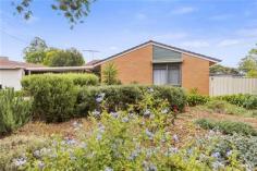  12 Willison Ave Evanston SA 5116  $275,000 Rejuvenated, Renovated, Revamped, Remarkable! 3 1 2 703 sqm (approx) Situated on a great sized 703m2 allotment and within walking distance to local shopping centres including Gawler Green, public transport and local schools including Trinity College and Starplex is this beautifully presented home that the owners have spent much time updating and enhancing.  Featuring 3 double bedrooms, the main with built in robe and ceiling fan. The updated bathroom has the convenience of a separate toilet and linen cupboard and is located central to the home. Brand new flooring throughout along with being freshly painted makes this home fresh and exciting. Zoned, ducted reverse cycle air conditioning keeps this home the perfect temperature all year round. The downlights in the updated kitchen with plenty of cupboard space reflects attractively against the pressed stainless steel splashback. The great sized laundry includes built in cupboards and leads through to the backyard which is adorned with mature gardens including fruit trees and lush green lawn. The above ground swimming pool is fully fenced and a perfect addition for this Summer sunshine. The concreted, undercover entertaining area includes caf blinds and neighbours the 20 x 12 concreted and powered shed which allows for plenty of storage, along with the triple carport makes this property the perfect home for starting up, slowing down or an addition to your rental portfolio. For an immediate viewing, please contact Grant or Courtney today. Additional information Property Type House  Property ID 11871100431  Street Address 12 Willison Avenue  Suburb Evanston  Postcode 5116  Price $275,000  Land Area 703 sqm (approx)  Air Conditioning 