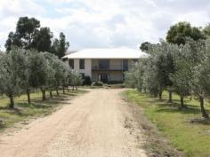  34 Tambo Blvd Metung VIC 3904 $785,000 OLIVE GROVE KEEN VENDORS ARE NEGOTIABLE Enjoy some extra income from approx. 500 mature olive trees on this 5 acre property plus B & B potential. 4 year old double storey home featuring 3 bedrooms all with ensuite bathrooms ( master with double shower, double vanity, bath, wc and bidet, all have access to the wide timber decked verandah which offers views to Tambo Bay and the surrounding area. The impressive entry area features double doors, water feature and porcelain tiles leading to a dining area with access to the rear al fresco area. The lounge is approx. 10.5 m x 6m and includes a solid fuel heater and split system air-conditioner and access outside. The kitchen is registered for commercial activities and includes a great solid timber work bench, industrial dishwasher and heaps of cupboard space plus there is an adjoining family area ideal for preparation of your olives and olive oil products or even cooking classes. 4th shower and toilet. Outside is a powered bungalow plus a separate office, 4 bay shed (1 Lockable), carport, 20,000 litre water tank, dam stocked with gold fish, and various plant and equipment (list available)   Property Snapshot  Property Type: House on acres Features: Balcony Coastal Ensuite Outdoor Living Workshop 