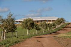  40 McConkey Rd Greenough WA 6532 $1,100,000 PROBABLY THE BEST OF IT’S KIND The approach to this lovely country home reveals right from the outset that attention has been given to creating an Australian Farmhouse feel while still considering the practicalities of the modern growing family and the location of the home. The white tin roof with extensive Bull-nose verandahs surrounding the home, along with the horizontal sash windows, timber decking and use of the large limestone blocks for the external walls, give a homestead impression. While the four car garage under the main roof gives a more contemporary aspect to the building, showing consideration for the changing needs of the occupying family. Aluminium guttering as well as aluminium window and door frames have been used in this coastal location in addition galvanised lintels have been installed in consideration of the tendency to high winds combined with the close proximity to the coast. On entering the the home the double glass doors lead immediately into an open plan living area containing the family room, dining and kitchen. While the open plan and high ceilings give an expansive feel the warmth is maintained by the use of solid Jarrah floors and the inclusion of a cast iron fireplace on a travertine hearth. The internal brickwork is plastered and painted with a warm neutral shade which continues throughout the home. A distinct feature if this home is the large kitchen. With extensive bench and storage space and the use of white stone counter tops, antique white cabinetry, a ceramic butler sink, the country feel is heightened with the layout as well as the decor and fixtures, a theme which continues on into the large walk in pantry. Further practical considerations are evident in the use of, extensive pot draws, overhead cupboards, an extra wide electric oven and gas cook-top, side by side dishwasher draws, a stainless steal trough in the pantry, the plumbing of rain water both to a tap in the pantry and also the water / ice dispenser for the fridge, and a separate lounge room with built in storage for the installation of a home theatre.  Access to the rest of the house is gained through a set of double french doors to the wide hallway, containing further built in storage with matching cornicing, as is used in the kitchen. These doors are used not only for aesthetic appeal but are also practical in their use for sound proofing and to divide the house zones and improve the efficiency of the fully ducted reverse cycle air conditioner. At the far end of the hallway access is gained to the four car garage containing extra storage cupboards and separate access to the outdoor area. The master suite of the home has a roomy bedroom where the Jarrah floors are continued, as in all the bedrooms. The ensuite is completely tiled, with warm neutral tiles on the floor and large porcelain floor to ceiling wall tiles in fresh white. A colour scheme repeated in all of the wet areas. The stand alone bath tub, double vanity bowls on the stone counter top and separate enclosed toilet make the most of the space available. The inclusion of a frame-less hob-less shower with hand held fittings gives an open feel, while also while also future proofing the home in the event of an occupant having limited mobility. Further personal touches are added with, his and hers clothing storage, an IXL heater/fan/light, and hot water provided by an instantaneous gas hot water system, with temp controllers mounted in the ensuite , laundry and kitchen. Within the three other bedrooms the Jarrah floors and colour schemes remain constant, as does the proclivity to provide ample space and storage for the entire family. Practically is shown in the window treatments used throughout the home, with the installation of a double blind system. This provides the ability to lower either a translucent privacy blind or a full block out blind, with the mechanisms concealed within a timber pelmet. Consideration of a growing family is also evident in the second bathroom where again there is a large bath and double vanity bowls set on a stone counter top. A wide mirror, extra toilet, IXL fitting and corner shower complete the room.  Stone is also used within the laundry cabinetry to hold a stainless steal trough, in addition to vanity cupboards there are overhead cupboards and extensive linen storage behind floor to ceiling sliding doors, with a glass door leading outside allowing plenty of light into the room. Access to the powder room can be obtained via the laundry as well as off the hallway. On venturing outside, the entertaining area shows again a tendency to unassuming style with the focus on space, warmth and practically. The pool area and alfresco are roomy enough to host large groups but are just as functional with only the home occupants using them. The high raked ceiling is lined with cedar boards, making an impressive feature in the area, which has been built to accommodate an outdoor kitchen as well as an outdoor shower. Property Details Elders Property ID: 9723642 4 bedrooms 2 bathrooms 4 car parks Land Area 8 hectares 4 car garage 