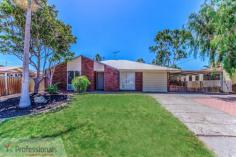  29 Elderberry Dr Parkwood WA 6147 $554,000 Modern Parkwood Family Home House - Property ID: 913528 Want a move in ready 4 bedroom, 2 bathroom home in a quiet cul-de-sac location close to schools, parklands, transport and shops? Here it is! The floorplan, design and finishings within this home are very different to any other 4x2 home currently on the market in the area. A separate, dedicated theatre room is situated to the front of the home with a good size master bedroom, double built in robe and ensuite with a bath and separate toilet.  The slate floors are definitely an easy care, low maintenance bonus in the home as well as freshly painted walls and doors and new carpet throughout. The minor bedrooms all have built in robes and vertical blinds. A light and bright open plan family room, meals and games / sitting room all surround the modern kitchen. This all overlooks the beautiful patio / alfresco area and fenced, below ground, salt water pool. Outside, the home also boasts a large shed, lock up garage or store room and a double secure carport. This home is move in ready. A fantastic home in a great location. Call to view today. - 4 Bedrooms - 2 Bathrooms, ensuite with bath and separate toilet - Theatre Room - 1 Lock up Garage - 2 Car Secure Carport - Rear Access - Large Shed - Fenced, under ground salt water pool - End of Cul-de-sac - Close to Parkwood Primary School and Lynwood High School - Hossack Reserve and Stockland Riverton Forum - Modern fitout, new carpet and paint - Approx. 700sqm block School Catchment Zone: Parkwood Primary School & Lynwood Senior High School Age Of House: 1977 Building Size:  Land Area: approx. 700sqm Strata Levies: N/A Local Council: City of Canning Council Rates: $1393.88 Water Rates: $939.53  Features  Land Size Approx. - 700 m2  Built-In Wardrobes  Close to Schools  Close to Shops  Close to Transport  Garden 