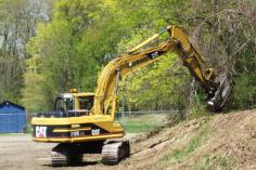 We are qualified Arborists and can help you make the right decisions about tree removal for your trees in your sunshine coast. Tree Service Sunshine coast 