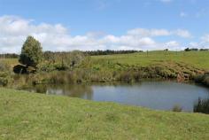  340 Pinners Road West Takone TAS 7325 $330,000 - $350,000 Ultimate views, peace and quiet • 84 Acres • Productive property • Magnificent coastal views • Neat 3 bedroom brick home • With garage, barn, several sheds & stockyard • 50 Acres of pasture subdivided into blocks • Laneways for stock management • Suitable for cropping or grazing • Good red soil • Ample water, game proof & electric fencing - 22% more productive • 30 Acres 1st growth native bush • With giant Eucalypt, Blackwood, Myrtle, Sassafras, Tree Ferns & Pepperberry • 35 klms to Burnie, Wynyard & airport Well worth a look! General Features Property Type: House Bedrooms: 3 Bathrooms: 1 Land Size: 84 Acres 