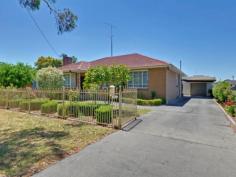  8 Berry St Traralgon VIC 3844 $298,000 Close to Town Centre - Huge Block *Lovely Location, around 6 minutes walk to Plaza. *Land area 1000m2 approx. *Solid brick home older style. 3 Bedrooms. *Large Living area - Kitchen, Dining. Formal Lounge. *Garage-Carport, external bedroom/sleepout, workshop plus sundry sheds. *Well established gardens including an assortment of Fruit trees. *Ideal family home or development site STCA. 