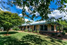  665 Forest Reefs Road  Forest Reefs NSW 2798 $899,000 Fully renovated superb family home Polished floor boards and raked ceilings Decked verandah on all sides Wood fire and R/C split system ducted 100,000 litre water tank plus 3,000gph bore, suitable for drinking 9x6 metre garage, 6x6 metre carport plus 7x4.5 metre shed. 