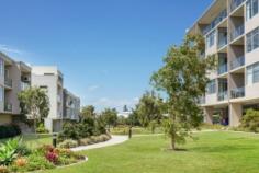41/3 McLennan Court, NORTH LAKES QLD 4509 | Madeleine Hicks Real Estate Brisbane