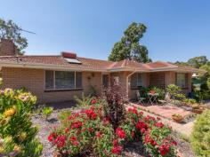  12 Hefron Street Mount Helena WA 6082 $425,000 Built in 1970 and boasting a renovated kitchen, 4 good-sized bedrooms and 1.5 bathrooms, this brick and tile home sits on ½ an acre at the end of a quiet cul-de-sac. A park and playground opposite, 2 sheds and reticulated easy care gardens add to the amenity of this move-in-ready property – an attractive option for first home buyers and downsizers. 4 bed 1 bath 2 W.C. 1970 brick and tile Renovated kitchen O-Plan living/meals Good-size bedrooms Fully tiled bathroom Easy-care gardens Shed & pwd garage ½-acre on cul-de-sac Walk town & schools This neat and tidy 4 bedroom, 1 bathroom, 2 W.C. home features a renovated kitchen, 4 good-sized bedrooms and is set on ½ an acre with 2 sheds ­– one powered – easy-care gardens and a large rear patio. An excellent opportunity for first home buyers and downsizers to discover the Hills lifestyle in a well-presented, well-positioned brick and tile home. Easy-care gardens and a wide patio create a private entrance and screen the home from the road. An entry hall leads to the L-shaped living/dining room through sliding glass doors. A large picture window ensures ample natural light and views of the reticulated gardens while reverse cycle air-conditioning delivers year-round comfort. The renovated kitchen adjoins the dining area and boasts a subway tile splashback, a 5-burner, freestanding oven and a dishwasher — timber-look benchtops and ample storage complete this practical, updated workspace. Four good-sized bedrooms – 3 with built-in robes – enjoy garden views and are bathed in natural light, thanks to picture windows. The bedrooms share the fully tiled family bathroom and a separate W.C. A second separate W.C. is situated in the spacious laundry set to one side of the rear verandah. The elevated rear verandah looks out across the landscaped back garden and offers ample space for outdoor entertaining. To either side of the dual-entry lot are 2 sheds, the larger – 3.5 m x 9 m – is powered, has remote access entry and with drive-in access is suited to use as a garage. A second shed measuring 3.5 m x 6 m offers practical storage space with drive-in access. With freshly painted door and window frames, a renovated kitchen and good-sized bedrooms, this well-presented property is an attractive offering. Set on more than ½ an acre at the end of a quiet cul-de-sac, opposite a sizeable park and playground, the charming village of Mount Helena, local schools and access to the much-loved Heritage Trail are all within easy reach. To arrange an inspection of this property or for friendly real estate advice from proven performers call Bob Johnston on 0429 956 378 or Jan Johnston on 0427 956 378... 