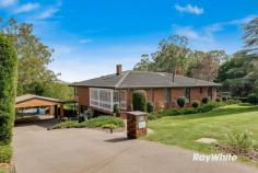  18 Glencoe Court Middle Ridge QLD 4350 $849,000 Located in a tightly held range side neighbourhood, overlooking Glen Lomond Park, this immaculate home makes the most of its enviable position with large expanses of glass to the rear of the property not only flood the interiors with natural light but frame fabulous escarpment views. Meticulously maintained inside and out, recent up-dates to the main living zone include a stylish new kitchen with gorgeous marble splashback as well as a luxury ensuite transformation that is sure to please buyers. Set on a fully fenced 4,068m2 block this house delivers a spacious layout, pleasing interiors and views to Preston Peak. • 	 2 huge living rooms • 	 2 dining zones • 	 3 bedrooms & 2 bathrooms upstairs (master with ensuite & WIR) • 	 Teenager's retreat on lower level with additional shower & toilet • 	 Sauna on ground floor • 	 Enclosed verandah plus large rear deck for lounging & dining • 	 Wood burning fireplace in lounge & heater in family • 	 Ducted air conditioning • 	 Ceiling fans (x 5) in bedrooms & family • 	 Oversized 11.8m x 6.2m garage with workshop under the house with internal access • 	 Detached double carport • 	 40,000lt rainwater tank plumbed to whole house • 	 Garden shed • 	 Insulated ceilings and west wall • 	 Close to Glen Lomond Park with 3 walking/riding tracks • 	 Major shopping centres less than 10 mins away • 	 Middle Ridge Golf Course minutes away With stunning views that will never be built out, this home truly is a gem awaiting discovery. Make sure your family is the one that reaps the rewards. Property Features & Amenities General Features Property Type: House Bedrooms: 3 plus teenagers retreat Living: 2 Bathrooms: 3 Land: 4,068m2 approx House: 363m2 approx 