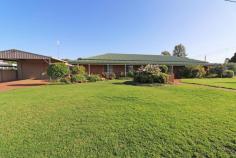  41-43 Nugget Street Kerang VIC 3579 $339,000 Room for the family, entertaining and lots of garage space are just a couple of key features that this family residence has to offer. Very well presented & surrounded by a low maintenance garden the home comprises: • Attractive entrance with decorative features • Country style timber kitchen with dishwasher, double pantry, bay window & wall oven • 4 Bedrooms - master with walk in robe, ensuite and built in robes to additional bedrooms • Study with external access – ideal for working from home. Includes shelving & bench space • Adjacent meals/living area with gas heating, split system & sliding door to entertaining area • Generous size lounge room with a formal dining room which includes a wood heater, gas heater & bay window • Central family bathroom includes a large spa bath, separate shower and tiled floors • Good size laundry room with built in cupboard & bench space • Year round comfort including split system heating & cooling and floor heating • Huge undercover alfresco entertaining area – perfect in any weather • Double lock up garage with concrete floors, power & lighting, work bench plus a double carport • Outside offers a lovely & low maintenance garden including a garden shed, automatic sprinkler system, exterior awnings, solar hot water & solar panels Located close to all facilities including schools, hospital, transport and shops. Put this on your must see list & arrange an inspection today!.. 