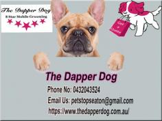  We are a professional academy trained mobile grooming service that comes to you. Our love, passion and experience with dogs is what makes us stand out. Visit us: https://www.thedapperdog.com.au/ 