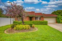  922 Fairview Drive North Albury NSW 2640 $349,000 A young family would love this 3 bedroom home conveniently located near parks, sporting field, schools, walking & cycling trail. Nestled on a great size 907m2 corner block in North Albury complete with superb outdoor living. A large lounge leads into the tiled dining area adjoining a well-appointed kitchen including a double drawer dishwasher, gas & electric cooking plus plenty of cupboards. You'll feel comfortable all year round with ducted evaporative cooling, gas heater with rear register & plenty of ceiling fans throughout. All bedrooms have robes there is a handy 2-way bathroom Plenty of space outside for the littlies, pets & to entertain with a superb full length paved pergola, 4 x 3 shed, cute cubby house, large side fernery, double gate access plus a double lock-up garage. Currently leased for $330 per week, investors will also be impressed.. 