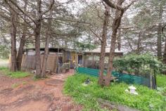  2442 Federal Hwy Bywong NSW 2621 $1,025,000 This property hosts 'The Canberra Boarding Kennels' a well known and established business located 22 mins North of Canberra on the Federal Hwy. Purrrfectly positioned for clients and their fur babies. Set over 40 acres of cleared grazing land the property is ideal for a veterinary, dog breeding or just to own your piece of paradise so close to our Capital. 2442 Federal Hwy has income producing infrastructure including; 3 bedroom home, 2 bedroom apartment, caravan with built on living and bathroom, commercial office, 14 large dog runs, 16 Small kennels, 10 enclosed kennels, 6 bay cattery, pet food kitchen, Pet cemetery, stables and store room, 3 bay machinery shed, large storage shed, 3 dams plus a bore with wind mill. The main residence has a great view over water to the fully fenced and productive pastures. The owners have enjoyed sheep, horses and Alpacas roaming over the land with plenty of water and grass. The home is original in condition and would certainly add value if you were to renovate, or rebuild. 3 bedrooms and 1 bathroom the living areas are open to each other and flow out to the large covered veranda. The owners decided to convert one of the stables into a modern two-bedroom apartment and have benefited from $350 per week in rental income. Good size bedrooms and new kitchen and bathroom make this property very comfortable. On its own septic, gas hot water and 22,500 litres of fresh water. We suggest it would lease very quickly and or a great place for a manager, granny flat or older children to call home. The Caravan and annex is dated but comfortable this also can be a quiet and peaceful place for the weekend or leased on a more permanent basis. There is a commercial office building which has great storage and a teenager retreat currently used as a gym and games room.    Apart from the obvious income generating opportunity this property is all about lifestyle. So well located and on 40 lovely acres. The kennel business may not suit your needs but you are trying to find some acres to call home or the weekender. It’s a great place to ride a horse, jump on the mini bikes or watch a herd of Alpacas graze in the paddocks. Here you have all of the above, do as you please at an affordable price. We are pleased to offer 2442 Federal Hwy, Bywong to the market and are instructed to sell. Please call Ben Stevenson 0467 046 637 to make a time to inspect privately. 