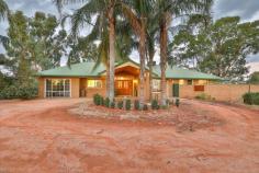  12 Little Cowra Road Yelta VIC 3505 $620,000-$682,000 If you've been searching for the perfect hobby block property, then this 20 acre lifestyle home might just suit your family down to a tee. Options are aplenty with the land fully irrigated; the choice of planting, set up for horses or a motorbike track, is completely up to you. To top it all off, a well presented Ashlar brick home spacious enough for the whole family. Located less than 15 minutes from Mildura, this magic spot is so close to the Murray River and easily accessible for all. Internally offering three great sized bedrooms with walk in robe to master suite, a generous central lounge space and a light filled, timber kitchen adjacent to a dedicated meals space. There's a separate spa bath & shower, plus an additional rumpus room or fourth bedroom at the opposite end of the house. Perfectly designed for family entertaining, the covered outdoor area flows seamlessly from your kitchen and living space, all is paved where you can sit next to overhanging vines to keep cool in summer. A comfortable size of the yard is fenced to keep in pets & children, whilst easy access to your approx 12x6m shed with concrete floor & power is provided. The approximate 20 acres of land is serviced by both low level sprays and dripper irrigation and the property comes with 2 megs of rural water, plus an option to purchase more if required, holding an AUL of approx 59 ML. Just look at the boxes that are ticked here; you've got the shedding, you've got the land and you've got a well presented, brick veneer home. 
