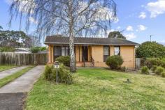  9 Maroonga Crescent Mount Gambier SA 5290 $245,000 Conveniently located in close proximity to Mount Gambier Marketplace complex. The property sits on low maintenance allotment of 695m2 and features modern updates throughout. The tidy home encompasses light filled carpeted lounge with gas heating and reverse cycle split system heating and cooling, neat kitchen with gas cooking and dining area. 3 bedrooms, 2 offer built-in robes. Central updated bathroom with shower, bath, vanity plus separate toilet. Gorgeous contemporary laundry with great storage space. Enclosed rear yard with access and single lock up shed. 