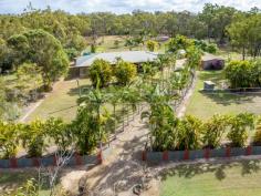  195 Birthamba Rd South Kolan QLD 4670 $499,000 As you drive down the palm lined, meandering driveway, you immediately feel your home in your own slice of peaceful paradise. Wrap around veranda’s give you the country feel, yet only approx. 20 mins drive from Bundaberg. FAST FACTS: Sprawling multiuse, tiled kitchen/dining/living/family areas. All rooms have the convenience of Air-Conditioning throughout. 4 larger than normal bedrooms, 2 with ensuites and walk in robes. Convenience of a 3th toilet inside. Expansive outdoor entertaining area Fully fenced 2 ½ acres, with large, picturesque dam and surrounds. 5 bay colourbond powered shed with 3 roll a doors, shower and toilet. Water supply is plentiful with rainwater supply to the home and a very good supply of Bore Water. The large Solar Power System will be a great plus for the new Owners. Spacious Kitchen is very well appointed including Dishwasher. Elegant timber look blinds are fitted to the majority of windows throughout the home. To arrange an inspection and see for yourself what this great property has to offer, call Peter Lawrence now on 0418 881 066, to avoid disappointment, ring now!! 