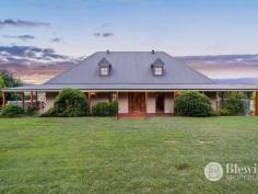  202 Micalago Road Michelago NSW 2620 $1,600,000 - $1,650,000 Located on 6.002 hectares (14.83 acres) of good quality pasture you will find this grand sandstone homestead with extra wide wrap around verandah, solid timber floors and endless views. The residence boasts a large open plan design with a slow combustion wood fire and doors leading out to the verandah on both sides. The spacious living room features solid timber floors and ceilings. The home boasts a large kitchen with excellent bench and storage space. There are two king-sized bedrooms on the ground floor both with French doors leading out. The main bathroom features a free standing bath and country style fixtures. The extra large laundry doubles as a great mud room. Upstairs is home to an enormous main bedroom boasting a balcony, study area, walk-in robe and large ensuite. Outside there is a free standing studio that was used as the additional two bedrooms. The studio would also make a great work-from home office or guest quarters. The gardens are easy care and consist of large level lawn areas with multiple entertaining spaces, there is even an outdoor bar. Adding to this is the original sheering shed that has been converted into the ultimate party house. Consisting of a large open living area, two bedrooms and a bathroom. There is also the large back area that is currently used as storage. The property comes with one lockup garage plus an additional five carports, a chicken coop, fully fenced vegetable garden and an orchid with mixed trees. Currently, the property is configured into three paddocks; the house and shed paddock with driveway, lower paddock with Lucern, a dam and a bore and the top paddock. The property is located only minutes from the quaint town of Michelago and 20 minutes from the edge of Tuggeranong, 40 minutes to either Canberra City or Cooma and 90 minutes from the Snow. There is around 2kms of unsealed road to the gate then onto the Monaro highway which will take you directly to either Canberra or Cooma. Features: – Stunning sandstone homestead (fossilised coral from Mount Gambia) – Wrap around extra wide verandas – Large open plan design – Solid timber floors and ceilings – Large timber kitchen with excellent storage – Slow combustion wood fire – Large main bedroom upstairs with ensuite and walk-in robe – 2 remaining bedrooms with French doors – Studio with 2 bedrooms or office area – Converted sheering shed – Single garage with 5 carports – Easy care landscaped gardens – Chicken coop and vegetable gardens – Mixed planting, established orchid – 2 x 17,000ltr water tanks on the house – 2x 10,000ltr water tanks on the sheds – 1 x 26,000 ltr gravity tank for gardens feed from bore – Dam in front paddock – Tree lined driveway 