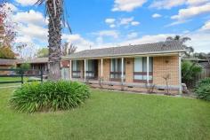  551 Byron Street  North Albury, NSW 2640 $340,000 Full  551 Byron Street house for sale details 