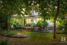  8 Finch Street Beechworth VIC 3747 $890,000 - $910,000 The location of this renovated 60's style cottage, in the beautiful tree-lined Finch Street, is unbeatable! Offering peace and quiet and yet being right in town, this house is perfect for down sizers or retirees. Projecting an exclusive sense of privacy with the simple lines of this 1960s design blending into a leafy streetscape, this three-bedroom renovated home delights in the quietness of its central position yet Ford and Camp Street shops, cafes and art spaces are in ambling proximity. The front porch makes the perfect place to sit and relax and invites you into this heartwarming home. Reflecting the era's style, the relaxed lounge domain incorporates space for all. The dining area is bathed in natural light and can be easily enjoyed with family and friends. The well-appointed modern kitchen accommodates daily mealtimes with ease. A covered deck at the rear provides a tranquil alfresco escape. The home hosts three comfortable freshly carpeted and robed bedrooms, a large spa bathroom and a separate WC, whilst a fantastic laundry and a brand new 6.0m x 5.5m vehicle accommodation and workshop will add to the overall allure. All set within a colourful, easy-to-maintain 789 sq m allotment in fabulous Finch Street. The whole home has been recently recladded with modern linea weatherboards and has been professionally painted extensively. Heating and cooling options include a gas log, reverse cycle air conditioning and ceiling fans. It's only when you get to inspect 8 Finch Street you will gain a sense of the peace and quiet such a central Beechworth location can provide. A treechange like no other. 