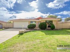  43 Morgan Road Seville Grove WA 6112 $400,000s Welcome to 43 Morgan Road Seville Grove. What an absolute stunner i have for you, jam packed with features If you are searching for your very first home or looking to invest this magical property is here to wet your appetite. This home has been transformed for you to move straight into and live the dream. Located in Kadima Park, a very sought after enclave of Seville Grove. This property sits on a lovely large 687m2 block, twice the size of the postage stamp blocks being sold today. The kids and pets can run and play. THIS IS WHAT BEING AN AUSSIE IS ALL ABOUT! This gorgeous 3 bedroom, 1 bathroom property will tick all your ‘I WANTS’. You simply must not miss the home open this Sunday 23rd July starting at 11am. Where am I: Walking distance to Cecil Andrews College – Challis Community Primary School – Armadale Fitness and Aquatic Centre – Bob Blackburn Reserve – Champion Drive Shopping Centre – Medical centre – Public transport and more. Selling features: Pleasant cream brick and tile facade upon arrival – New double remote garage door – Separate formal entry – TV room with adjacent meals area – Open plan living area with corner kitchen, Super large bench /breakfast bar – Relaxing family area with casual meals – Large front facing master suite with built in robes and semi ensuite – 2 guest bedrooms, one with built in robes – Huge bathroom with shower and WC – Large backyard with full length patio to entertain family and friends – Front side private courtyard, ideal for fire pit or spa area. Other selling features include: Amazing pristine presentation -Cool ducted evaporative air-conditioning – Split system air-conditioning to master suite – Skirting boards throughout living areas – New eye catching floor tiles – Fresh paint throughout – New curtains – Gas hot water – Gas cooking – Gas heating – Solar panels – Bore reticulation – Linen cupboard – New garage remote door – Washing line – Double workshop with drive through access. The list goes on! Join me this Sunday 23rd July 11-11:45. No viewings prior to the home open. i look forward to presenting this lovely property. Features Air Conditioning Built In Robes Courtyard Evaporative Cooling First Home Buyer Fully Fenced Gas Heating Gas Hot Water Service Outdoor Entertaining Remote Garage Secure Parking Solar Panels Unfurnished Workshop. 