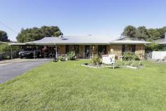  20 Heenan Street Nulsen WA 6450 This well-designed 3-bedroom, 1- bathroom brick home exudes that ‘homely feel’ with its high cathedral ceilings and exposed wooden beams. The open plan living, dining and kitchen area creates a sense of spaciousness, with beautiful jarrah cupboards in the large kitchen with plenty of bench space. Good size bedrooms all have built-in-robes with wooden blinds and the bathroom comes with that big bath to soak and unwind after a big day! An enclosed patio with stained decking and tile fire, provides an outdoor extension of the living space for entertaining. 8m x 6 m brick and colourbond powered workshop with single roller door and personal door for access. – Rheem Electric HWS – Reverse cycle air-conditioning – Tile fire in enclosed patio – Established gardens front and rear – Side Access 260m to Pink Lake IGA 850m to ESHS 500m to Nulsen Primary 