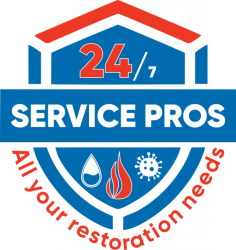 
				 
			247 
Service Pros have the experience and certifications to quickly and 
efficiently restore your property to pre-loss condition. Our certified 
restoration technicians have the skill to return your home or business 
to what it should be.



		 
				 