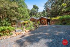  128G Friday Creek Road Upper Orara NSW 2450 $699,000 to $759,000 "Discover your personal slice of paradise! Nestled on a sprawling 2-hectare rainforest retreat, this property is a permaculture sanctuary with a babbling spring-fed creek meandering through the land, setting the stage for a tranquil and one-of-a-kind ambiance. What sets this property apart? It's not just one home; you'll have two! The main house, a charming 2-bedroom haven, boasts exquisite reclaimed timber floors, cathedral ceilings adorned with timber beams, a cozy fireplace, and a generous deck for embracing the beauty of nature. The second dwelling, a rustic-style studio, is fully self-contained, ideal for guests or generating income through Airbnb or long-term rentals. There's a wealth of resources to enjoy, from unlimited spring water, gravity-fed to your doorstep, to solar hot water in the summer and a warming fireplace with gas backup for winter, ensuring minimal utility costs. Immerse yourself in the harmonious melodies of birds and rustling trees, undisturbed by car noises. This property is a haven for rare bird and animal species, including the critically endangered Wompoo Pigeon, making it a paradise for birdwatching. Situated just 17 kilometres from Coffs, it offers convenient access to town while feeling worlds away. With bushwalks at your doorstep and hidden waterfalls scattered throughout the valley, this is a dream come true for nature lovers. Don't let this rainforest retreat slip through your fingers. Contact us today to schedule a viewing and experience the enchantment of this unique property." • Ceiling Fans • Fire Place • Solar hot water • Spring fed water tanks • Orchid • permanent spring creek 