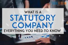  Get a detailed insight to what is a statutory company A statutory company is a legally established entity created by a specific statute or law, granting it a distinct legal identity and governing its operations. Operating on behalf of a trade flock, a statutory company plays a crucial role in regulating and promoting the interests of businesses within a particular industry. It serves as a representative and authoritative body that ensures compliance with industry-specific regulations, safeguards the rights of its members, and fosters collaboration among trade participants. 