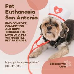  In San Antonio, pet owners facing difficult decisions find
solace in "Caring Choices: Pet Euthanasia Options." This
compassionate service offers a range of thoughtful options tailored to pet
owners' needs. Veterinary professionals provide guidance, ensuring informed
decisions about the best course for a beloved pet's end-of-life care. With
sensitivity and respect, the process is designed to be gentle and supportive,
allowing pet owners to be present during the procedure if desired. Beyond
euthanasia, the service extends support, assisting in the grieving process and
offering memorial options, creating a caring environment during this
challenging time. 