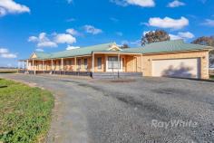  59 Brecon Court Echuca VIC 3564 $940,000 - $990,000 If you have been looking for more than the average four bedroom home, then this is it. Set on approx one acre at the end of a quiet court this property offers all town services with a rural outlook. Upon entry it will soon become apparent that size is not an issue in this home. The spacious open kitchen dining and living area offers great natural light and leads out to the decked entertaining area which is also fitted with blinds. There is a separate living room, study and not four but FIVE bedrooms. The master suite offers an abundance of space with a walk in robe and generous ensuite. The remaining four rooms are at the other end of the home and are serviced by a central bathroom and separate powder room. The large garage also allows direct access to the home. There is town water, ducted natural gas heating and evaporative cooling throughout the home plus a gas log fire in the main living area for cozy evenings with family and friends. Outdoors there is a 14 x 7m 4 bay shed with concrete and power. Offering both the convenience of town services and the peace of a rural outlook, you can just imagine relaxing on the deck in the evenings and watching the spectacular sunsets our country offers. 