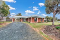  6 Wanera Court Echuca VIC 3564 $539,000 - This four bedroom brick veneer home has been well maintained and offers a host of buyers the opportunity to secure a home or investment property within walking distance to Echuca West Shopping Centre and both primary and secondary schools. There is ducted evaporative cooling, gas heating, central bathroom and all bedrooms have built in robes. There is an undercover outdoor entertainment area and low maintenance rear yard. Estimated rental return $460 - $500pw. 