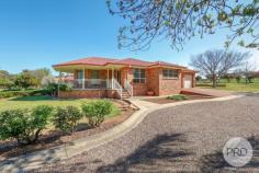  28 Hartmann Drive Tamworth NSW 2340 $885,000 Set out in the peaceful suburb of kingswood this exquisite property showcases 4,000sqm out the back a large double lock up shed that has power and lighting with a double carport extension attached. The beautiful red brick home offers you space and comfort right throughout! As you make your way to the front of the home you are greeted with a large veranda overlooking established roses and gardens. Inside you will find four huge sized bedrooms all with built in robes, the master bedroom is nothing short of Grande with large windows allowing natural light to fill the space. The kitchen displays neutral tones throughout finished with white appliances. Ample cupboard space and a large pantry makes this the perfect place to prepare meals, once again large windows allowing you to soak up the natural light is a pinnacle feature of this space. With two lounge/living areas this property is the perfect home for the growing family with room for everyone, out the back the fully enclosed sun room fitted with a split system for heating and cooling is going to be your next entertaining room making hosting friends and family a breeze! 