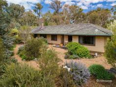  85 Trelawney Road Armidale NSW 2350 $785,000 - $830,000 Just 10 minutes from the Armidale CBD, this charming 5-acre property offers an ideal mix of rural serenity and modern living. Whether you’re starting a family or seeking a hobby acreage, this solid brick home delivers space, comfort, and versatility. Featuring five generously sized bedrooms, one with an adjoining living area and kitchenette—perfect as a teenager’s retreat or guest suite—the home offers ample living space. The two living rooms provide relaxed comfort, with the main living area offering a cozy wood heater, ideal for chilly evenings. The oversized kitchen and dining area create a welcoming hub for family meals and entertaining. With two bathrooms, the home is well-suited for a growing family. Outside, the property impresses with its practical features, including a double lock-up garage, double carport, and a large machinery shed/workshop. The property runs on tank water and includes a dam at the front, enhancing its rural appeal. Experience the best of country living with the convenience of being just minutes from town—this is the perfect rural retreat waiting for you. 