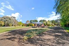  7 Corriedale Avenue Murrumbateman NSW 2582 Renovated from top to toe this outstanding property is sure to impress even the most fastidious of buyers. A brand new bitumen drive creates an estate feel leading you up to the main residence and further on to a self-contained studio and shed. At 7 Corriedale it's all about versatility with the main residence featuring 4 bedrooms, a freshly renovated kitchen and bathrooms, a north facing lounge, large family room with wood fire place plus an extra multi-purpose room which would be perfect for a gym, media room, rumpus room, home office or what ever your needs may be. An enormous undercover deck area is dedicated for entertaining with friends or perhaps soak in the spa under the vergola while the kids kick a footy on the expansive lawns. Park-like grounds are spread across a perfectly sized 8186sqm (2.02ac) block with private boundary plantings fully fenced. There's plenty of space for caravans, boats or machinery if needed. Older kids, parents or guests will love the fully self-contained studio, separate from the main residence. This has been finished to a very high standard and would also suit those who operate a home-based business, located adjacent to the exceptional 21x9m shed which boasts an epoxy floor - perfect for showcasing cars and other toys. Located in a quiet cul-de-sac position in the established Merryville Estate you are able to move in from day one without needing to stress about establishing gardens and shedding. Available now and ready to start enjoying immediately - book the extended family in for Christmas lunch and start enjoying the best that rural living has to offer at 7 Corriedale St, Murrumbateman. Extremely private solid brick home situated on 0.82ha (2.02 acres) Brand new kitchen and appliances, complete with new fridge, microwave and dishwasher Generous sized bedrooms all with built in robes and the main features a walk in robe and ensuite 3KW Solar unit on main home roof, ample water storage with 130,000 litres in total Enormous entertaining deck equipped with a TV outlet, 4 person spa and BBQ area complete with vergola (opening) roof over the spa Space for any pursuits with established veggie garden and orchard, chook house and room for a small paddock Located a short 5 minute drive into Murrumbateman village with its shops, schools, doctors and vet surgery Canberra is an easy 25 minute drive away 