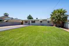  137 Lewis Street LAMINGTON WA 6430 $449,000 Are you in the market for a modernised family home located in one of Kalgoorlie’s most sought-after neighbourhoods… whilst still having the benefit of a full block and a 6m x 9m Shed?! Best have a look at this one! This Four-Bedroom, Two Bathroom family home is completely move in ready and doesn’t require a single thing done to it. Offering a spacious main Lounge room that sits adjacent to the Kitchen/Dining area; the property also is equipped with an Office (or small 5th Bedroom). Externally, you’re spoiled to an inviting rear Decked Patio, 6m x 9m Shed (w/ Laneway Access) and plenty of well-manicured lawn/yard space. • Four Bedrooms • Two Bathrooms (One an Ensuite) • Modern Kitchen • Charming Dining/Kitchen Space • Spacious Lounge Room • Study/Office (or small 5th Bedroom) • Inviting Decked Patio at the Rear • 6m x 9m Shed (w/ Laneway Access) • Ample Yard Space with Well-Maintained Lawns • Evaporative & Split-System Airconditioning • Great Lamington Location; Nearby North Kalgoorlie Primary & Hannans Boulevard • 1,012sqm Block Size 