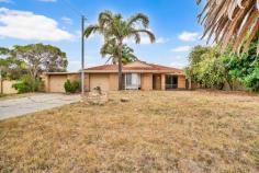  71 Mataitai Loop Cooloongup WA 6168 $589,000 This 3 bedroom home features a renovated kitchen, bathroom, and laundry, offering a practical and updated space for daily living. Stay comfortable year-round with ducted air conditioning and a reverse-cycle split system in the main living area. The backyard, while in need of a little TLC, boasts a generous size and is complete with a large pergola and garden shed, perfect for outdoor storage and gatherings.  Conveniently located near SUPA IGA, Hanks Bar and Bistro, Rockingham Train Station, and Cooloongup Primary School; this property provides excellent access to shopping, transport, education, HMAS Stirling Navy Base, our beautiful coastline and many family friendly beaches. A fantastic opportunity for those looking to add personal touches to a well-located home. Suited to owner occupiers and investors. Features include: • Ducted air conditioning throughout and a split system in the main living area • Separate living areas including a front lounge room and a meals and family room • Modern kitchen with electric oven, gas cooktop, dishwasher, overhead cabinetry • All bedrooms are fitted with built-in robes • Updated bathroom servicing the bedrooms • Renovated laundry with timber benchtop, overhead cabinetry and room for washer and dryer • Large pergola for outdoor entertaining • Spacious backyard and shed for storage • Manual bore reticulation to the front  • Side access for secure storage of your boat or trailer Currently tenanted on a periodic lease, tenant would love to stay on if that is an option. 