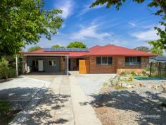  7 Chestnut Avenue Armidale NSW 2350 $575,000 - $625,000 Welcome to 7 Chestnut Avenue—a truly oversized family home tucked away in a quiet, family-friendly street, offering ample space, comfort, and convenience. This expansive property is ideally located near highly regarded schools, making it perfect for growing families. Boasting six generous bedrooms, each with built-in wardrobes, this home ensures plenty of private space for everyone. With two separate living areas, including one featuring a cozy wood fireplace, you’ll have all the comfort and flexibility needed for family gatherings or quiet evenings in. The heart of the home is the combined kitchen and dining area, thoughtfully designed for busy family meals. The kitchen offers ample cupboard and bench space, a dishwasher, and is complemented by reverse cycle air conditioning in the dining area to keep everyone comfortable year-round. The main bathroom and a laundry with an additional toilet add to the home’s practicality. Outside, you’ll find a detached studio that can be customized to suit your needs, plus an undercover entertaining patio and deck for memorable outdoor gatherings. A double carport, fully fenced house yard, and a huge 1,170-square-metre backyard provide space and security, while solar power enhances energy efficiency. 