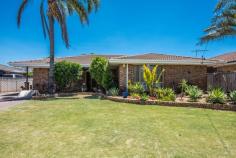  26 Foster Place Mount Tarcoola WA 6530 $529,000 Mount Tarcoola continues to be one of Geraldton's most popular suburbs and it's easy to see why. Just a few minutes drive and you are in the City or down at the beach. 26 Foster is a lovely home in a cul-de-sac location that is ready for a new owner and is available to move into. • Built in 1991 • Brick with tiled roof • 730sqm block • 4 bedrooms • Master bedroom with BI robes and A/Con • All bedrooms can fit DB and have BI robes • 1 bathroom • 2 toilets • Separate front lounge • Study • Large kitchen that overlooks the family/dining area • Gas cooktop, electric oven, & grill • Walk in Pantry • Laundry with second toilet • Rear access to large powered shed (9m x 7.5m approx) with workbench and large sliding door - perfect for parking additional cars or a boat • Back Patio • Solar Panels Like most homes of this era, there are always a few things that can be done when you're ready. These owners are relocating and the opportunity is there for you now. 