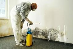Protect your health and property with professional mold removal services Dayton OH by Disaster Relief Restoration. Our experts identify and eliminate mold at the source, preventing regrowth and improving indoor air quality. With safe methods and thorough inspections, Disaster Relief Restoration ensures your home or business is mold-free and safe for your family or employees.