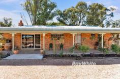 167 First Street Nichols Point VIC 3501 $699,000 - $768,000 Damian Portaro Principal & Managing Director proudly present for sale this remarkable lifestyle retreat, set on approximately 1.5 acres in one of Sunraysia's most tightly held and tranquil pockets, Nichols Point. Privately nestled at the edge of King's Billabong and Bruce's Bend, this immaculate three-bedroom brick home delivers that rare blend of charm, convenience and country serenity. The home has been thoughtfully designed to embrace the natural surroundings. Elevated views are enjoyed from every angle, while timber cathedral ceilings and polished floors add warmth and timeless character throughout. The heart of the home is its open plan living, dining and kitchen zone, complete with feature timber ceilings and views that stretch across the gently sloping lawns. Modern comforts such as evaporative cooling and gas heating provide seasonal comfort, while the layout lends itself beautifully to relaxed family living or weekend entertaining. Step outside to the expansive, decked alfresco area and you'll instantly feel the connection to nature. Overlooking native bushland, established trees and irrigated lawn, the space is ideal for hosting, relaxing, or simply taking in the peaceful outlook. Venture further and you'll find fenced horse paddocks, a variety of sheds, chook pen and your very own citrus trees There is a certain magic to this setting. Children will roam freely, bonfires will crackle in the cooler months, and mornings will begin with birdsong and stillness. Located just minutes to Nichols Point Primary School and approximately seven minutes to Mildura's centre, this is country living without compromise. Whether you're seeking a forever home, a lifestyle change, or a special place to reconnect with space and simplicity, this is a rare opportunity that offers all of it.