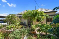 112 David St East Devonport TAS 7310 $845,000 Timeless Circa 1888 Character Home on 1,234 m2 – A Rare East Devonport Gem Step back in time while enjoying modern comfort at 112 David Street, East Devonport. A beautifully preserved circa 1888 residence set on an expansive 1,234 m2 block. This charming four bedroom home blends historic elegance with thoughtful updates, offering space, warmth and lifestyle in equal measures. The home retains its classic character while offering the comfort and presentation today’s buyers seek. Garden & Lifestyle: A full-length picket fence offers additional privacy as well as being child and pet safe, a double carport adjoins a private deck area for early morning coffee or just to contemplate the day ahead. This property offers not just a home, but a lifestyle – space to grow your own produce, enjoy nature and relax in complete privacy. The lounge / living is of two components, features classic high ceiling lined in Tasmanian Oak. Quality block out drapes, as new carpet and painted with a neutral colour platelet throughout the home. The second living / lounge offers a more contemporary setting with lower ceiling, down lights and expansive windows leading to the huge deck area that overlooks the garden. The light and airy timber kitchen has gas cooking, as well as huge meal preparation areas, Ariston dishwasher plus ample room for a double refrigerator. The large adjoining dining area features ornate fireplace with desk alcove and multiple shelving for those special ornaments. There are two heat sources within the home, the hallway has a Mitsubishi reverse cycle air conditioner, the dining and lounge rooms have online gas. Sixteen solar panels and 3.7 kw inverter assist in reducing electrical consumption. The bedrooms are wide, spacious, spectacular polished floors, high ceilings as well as built ins in most rooms. Fireplaces are ornamental but could be reinstated should you choose. Bathroom/ Laundry, Powder room: All have been rebuilt over the last few years, tastefully furbished with classic features and authentic timber windows Homes of this era, on land of this size, are increasingly rare. Set on a massive 1,234 m2 parcel, the garden is a private sanctuary featuring an extraordinary variety of established trees and plants including Pear, Cherry, Walnut, Olive, Double grafted Apple, Lemon, Plum, Peach, Grape vines, Mulberry, Kumquats, Kiwi fruit, Tahitian lime, Ginko Biloba and Feijoa. A well – established greenhouse provides year – round greens and fresh herbs including Rosemary, Sage, Oregano and Fennel – perfect for the home cook or garden enthusiast, additional outdoor features include – Bird aviary, numerous storage sheds, private bee hives producing exceptionally sweet honey. Beautiful black parrots can be seen amongst the trees at certain times, their glossy feathers shimmering against a backdrop of lush green foliage. A garden of discovery, where natures elegance takes flight, with every visit brings you closer to nature. If you’ve been searching for character, charm and a remarkable garden setting, this is an opportunity not to be missed. Enquire today to experience this unique East Devonport treasure. Sushames Real Estate trusts in the information in this document which has been sourced from means which are considered reliable. Prospective purchasers are recommended to carry out their own due diligence regarding permits, measurements and boundary positions prior to settlement.