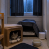 Every cat deserves a safe, comfortable, and enriching home. Discover practical guides on cat care, nutrition, behavior, grooming, litter training, and product recommendations at https://catandmeow.com/ 